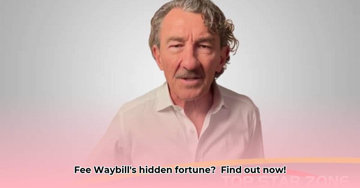 fee-waybill-net-worth